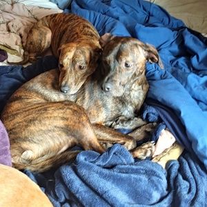 Meet your Posher, Christy